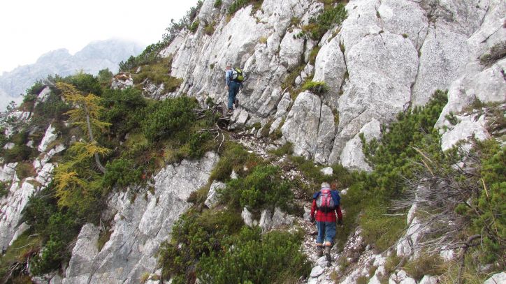 Požgana Mlinarica - sobota, 1. oktober 2016